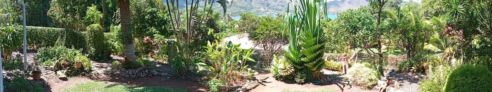 jardin 16.08.2024